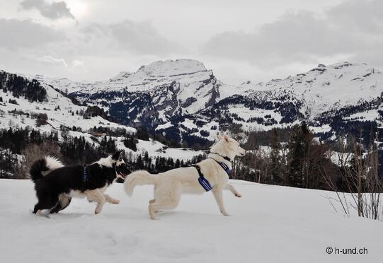 Illgau-Oberberg Rundwanderung