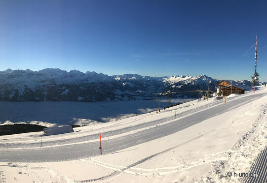 Niederhorn - Waldegg mit Claudia, Nicole, Asco und Roxy