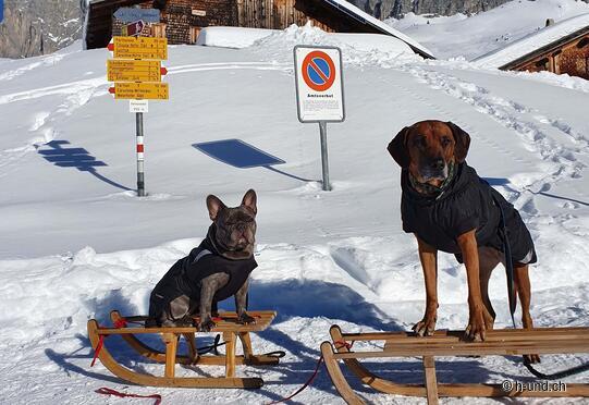 Partnun Winterwanderung
