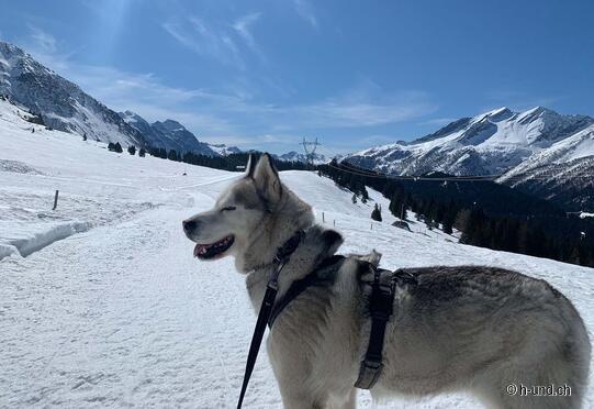 San Bernardino Winterwanderung
