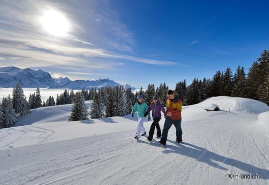 Randonnée hivernale Meiringen - Hasliberg